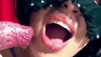 Horny females in a spicy compilation of rough zoo porn