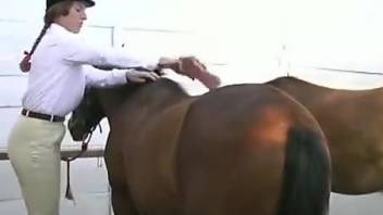 Horny horsewoman fucking a big-dicked stallion