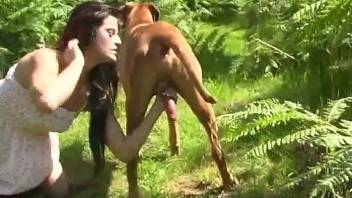 Ravishing MILF with a big nose blows a dog outdoors