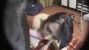 Stunning young woman adores a canine's succulent dick