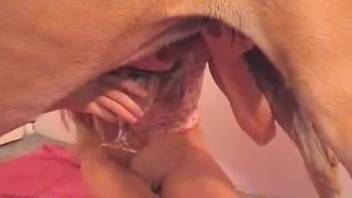 The female dog is undergoing her initial human-animal sexual encounter.