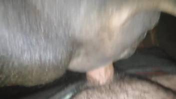 Intimate view of a guy deeply penetrating his beast