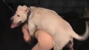 Perky booty babe getting power-fucked by a horny dog