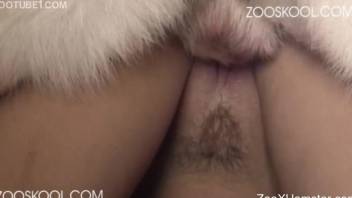 Dirty zoophile with trimmed pussy drilled by a hairy doggy