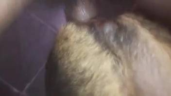 Guy can't quit pounding this bitch's snug hole
