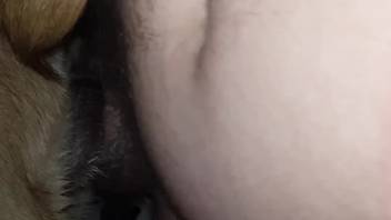 Intense banging clip with a plump zoophilia hunk