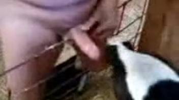 Guy deepthroating a hot chick in a twisted adult video