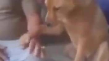 Sexy guy's sneaky handjob for a really kinky dog