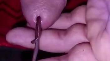 Man lets worms slide into his dick when masturbating on cam