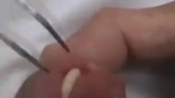 Aroused guy shoves huge worms into his urethral passage