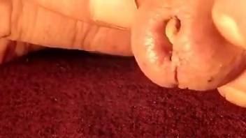Man feels entire worms crawling into his big penis for extra pleasure