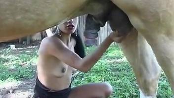 Amateur woman takes good care of the horse's giant cock