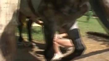 Pregnant zoophile chick fucks a big-dicked horse