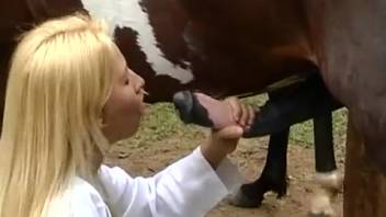 Blonde woman inspects a horse's massive dick initially