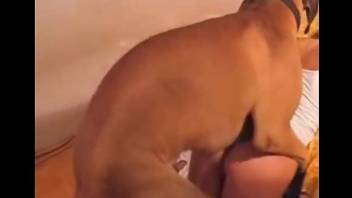 Hot blonde gets intimate with the dog in sloppy modes