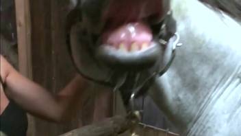 Horny woman stuffs a massive horse cock into her juicy pussy