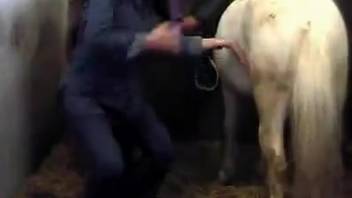Dark-haired woman becomes intensely intrigued by extreme animal intercourse