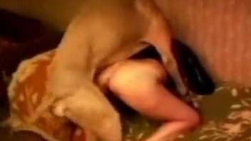 Amateur mature with big ass motivates dog to fuck her pussy