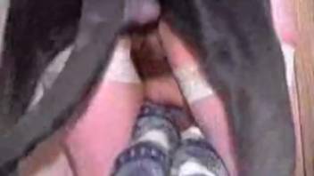 Collection of top close-up animal sex scenes