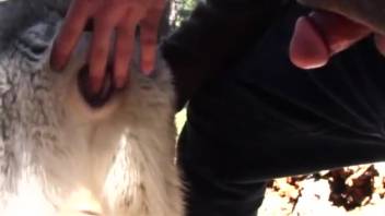 Guy screwing a hot beast in a wintry forest