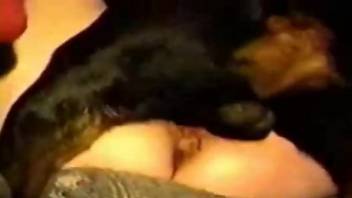 Nude woman screams with the dog fucking her the hard way