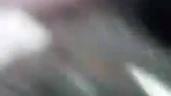 Aroused guy desires to screw the fluffy canine and enjoy it