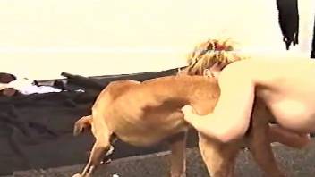 Blond-haired zoophile licked by a dog in a retro video