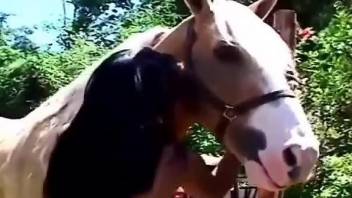 Big booty zoophile is happy to fuck a stallion