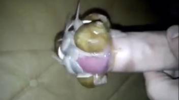 Guy masturbates with snails covering his hard cock