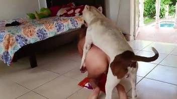 Amateur cam babe shares intimacy with the dog