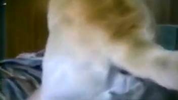 Intimate close-shot sex with a stunningly attractive beast