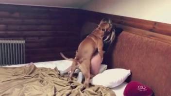 Tattooed girl in white socks gets fucked by a dog