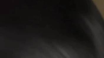 Alluring beast demonstrates its value in an intimate wildlife footage