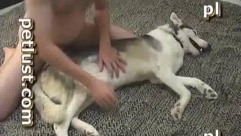 Dude dominates a dog's pussy in a hot porno movie