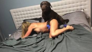 Thick white blonde getting fucked by a black dog