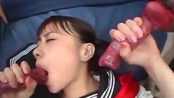 Japanese schoolgirl sucking dog cocks left and right