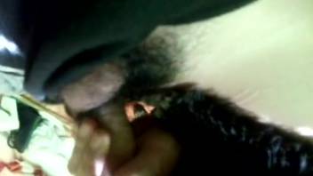 Bushy cock pounding a hot bitch on camera