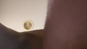 Man's desperate anus stretched by a filthy canine cock