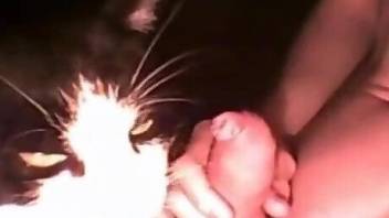 Dude wants to give his kitty a real-deal facial