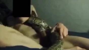 Snake-fucking dude fucks a snake for the camera
