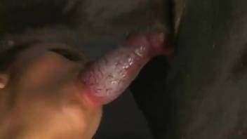 Slender vixen gets pounded by a hot beast from the rear