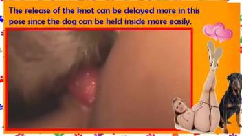 Ultimate definitive instructional video on bestiality