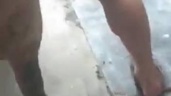 Detailed view of guy-animal screwing encounter on the ranch