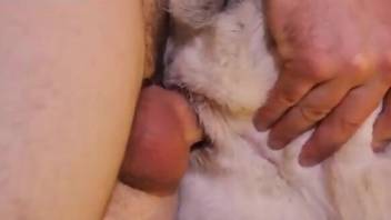 Dude with a cock ring fucks a sexy beast hole