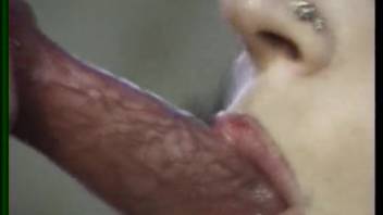 Authentic bestiality videos featuring novice sluts in heat