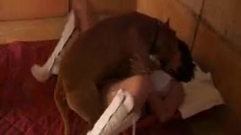 Girl with cropped hair being screwed by a brown canine