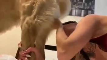 Hot pup permits this blondie to idolize its pulsating shaft