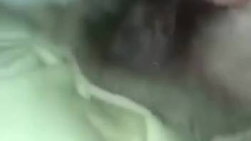 Passionate animal sex scene with close-up shots