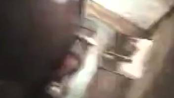 Stallion pounds older lady's rear for a fierce porn encounter