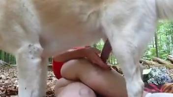Red Riding Hood enjoys hardcore fucking in the woods